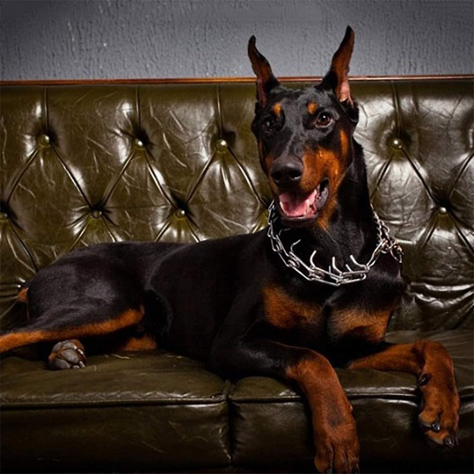 "Verstellbares Hunde Stachelhalsband mit gummierten Metallstiften, stylish und sicher, für optimales Hundetraining."