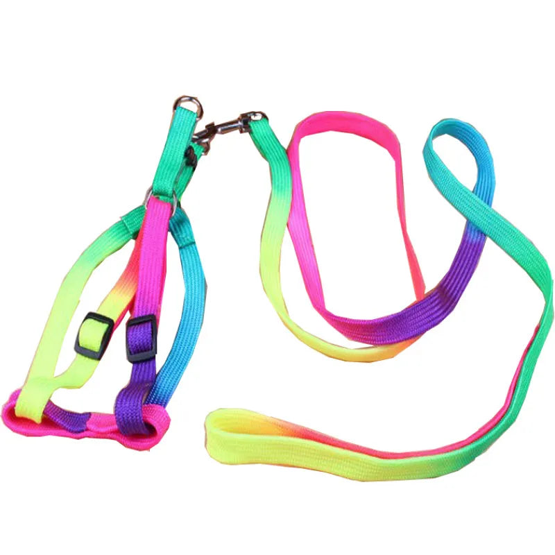 Dog wearing a colorful rainbow harness and leash, ready for a comfortable outdoor walk.