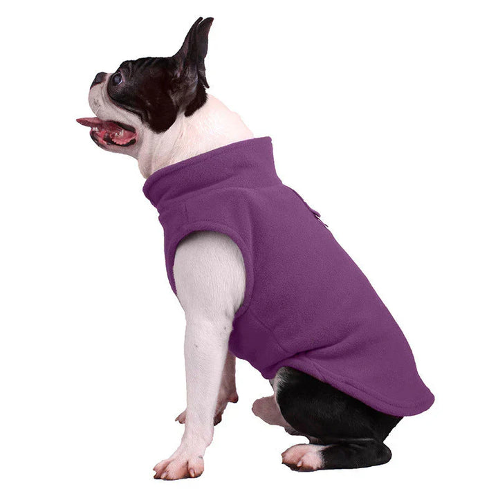 Black dog jacket, all-weather design for pet comfort and outdoor adventures