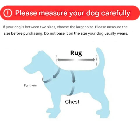 Wasserdichte Hundejacke in Dunkelblau, wärmeisolierend und sichtbar, schützt vor Regen und Kälte. Ideal für Spaziergänge.