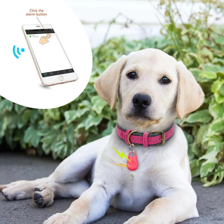 "Wasserdichter GPS-Tracker für Haustiere, kompakt und robust, Echtzeit-Ortung für Hunde und Katzen, am Halsband befestigt."