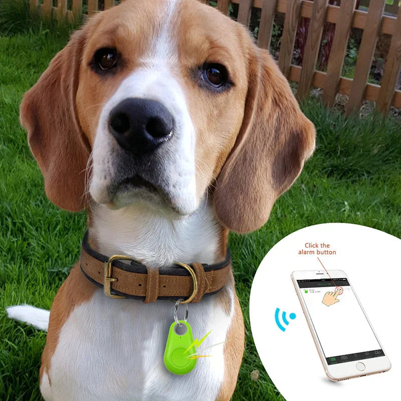 "Wasserdichter GPS-Tracker für Haustiere, kompakt und robust, Echtzeit-Ortung für Hunde und Katzen, am Halsband befestigt."