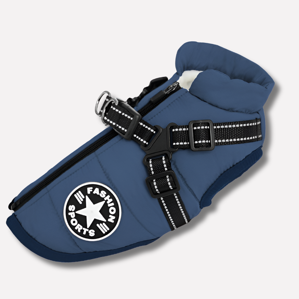 Stylish dog rain jacket with integrated harness, keeping pets dry and secure.