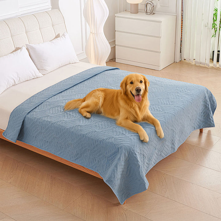 Waterproof pet blanket protecting a gray sofa, ideal for dog & cat furniture protection.