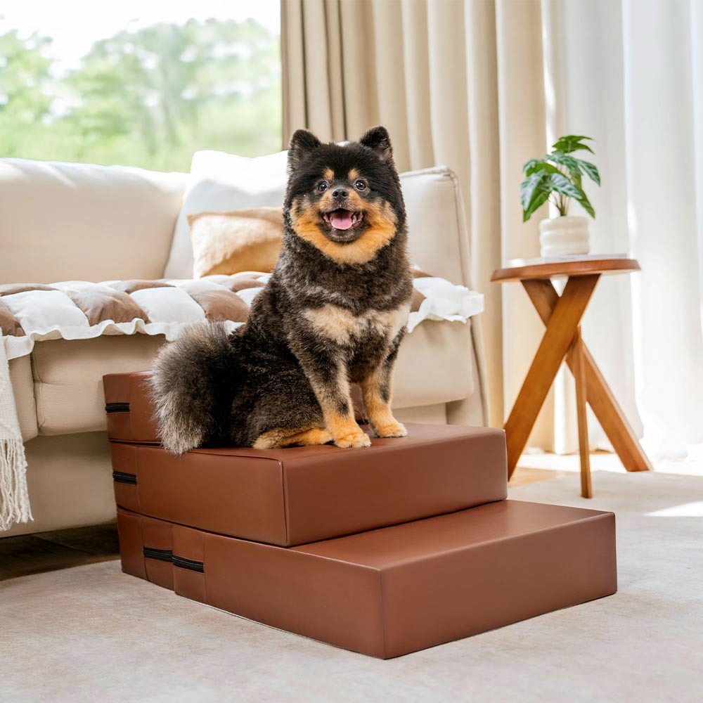 Waterproof PU leather pet stairs in a living room setting, blending with home decor, pet friendly