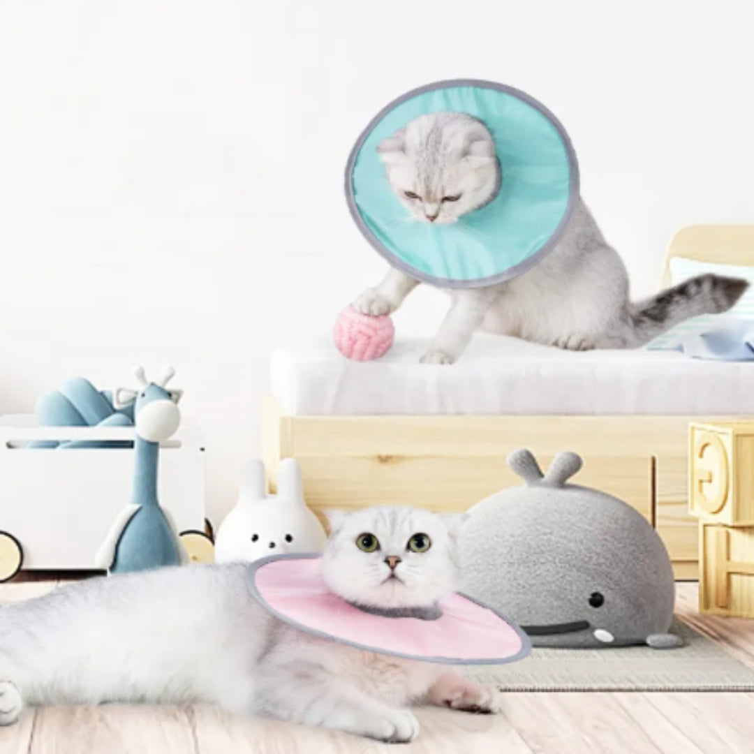 "Weicher Haustier-Schutzkragen für Hunde und Katzen, extra weich, verstellbar, in Blau, Grün oder Rosa, pflegeleicht."