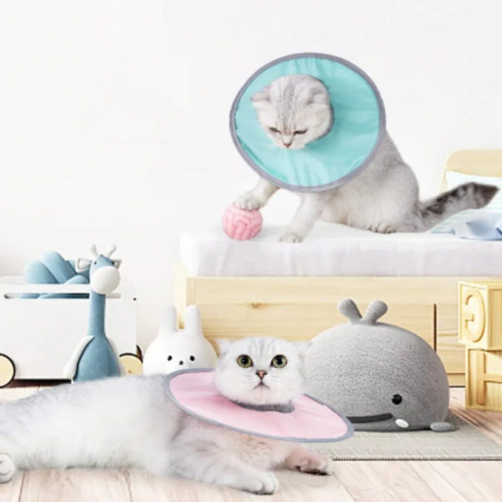 "Weicher Haustier-Schutzkragen für Hunde und Katzen, extra weich, verstellbar, in Blau, Grün oder Rosa, pflegeleicht."