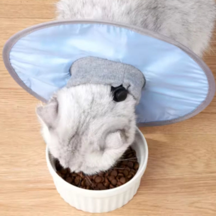 "Weicher Haustier-Schutzkragen für Hunde und Katzen, extra weich, verstellbar, in Blau, Grün oder Rosa, pflegeleicht."