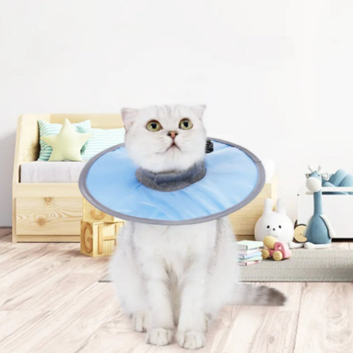 "Weicher Haustier-Schutzkragen für Hunde und Katzen, extra weich, verstellbar, in Blau, Grün oder Rosa, pflegeleicht."