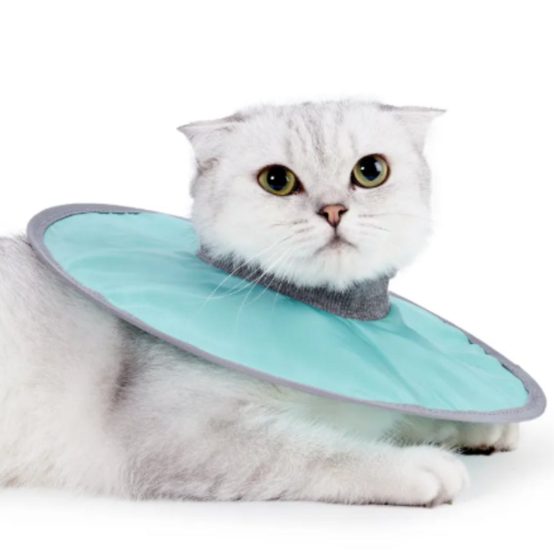 "Weicher Haustier-Schutzkragen für Hunde und Katzen, extra weich, verstellbar, in Blau, Grün oder Rosa, pflegeleicht."