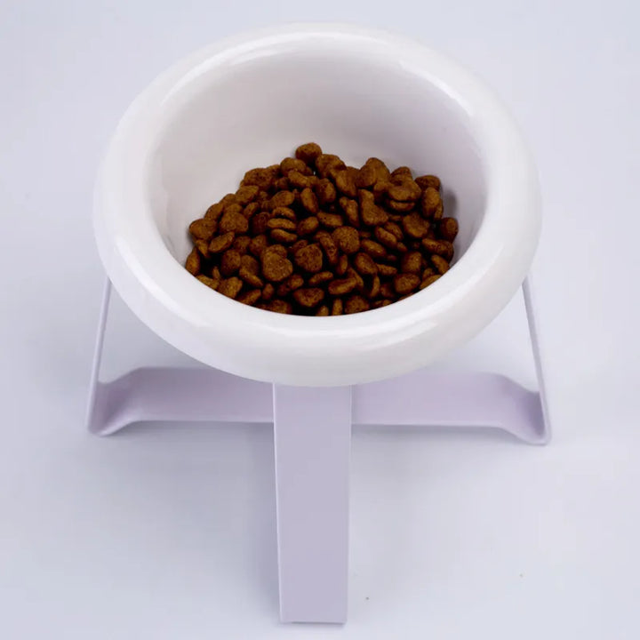Ergonomic raised dog bowl with sturdy metal stand, a modern pet supply