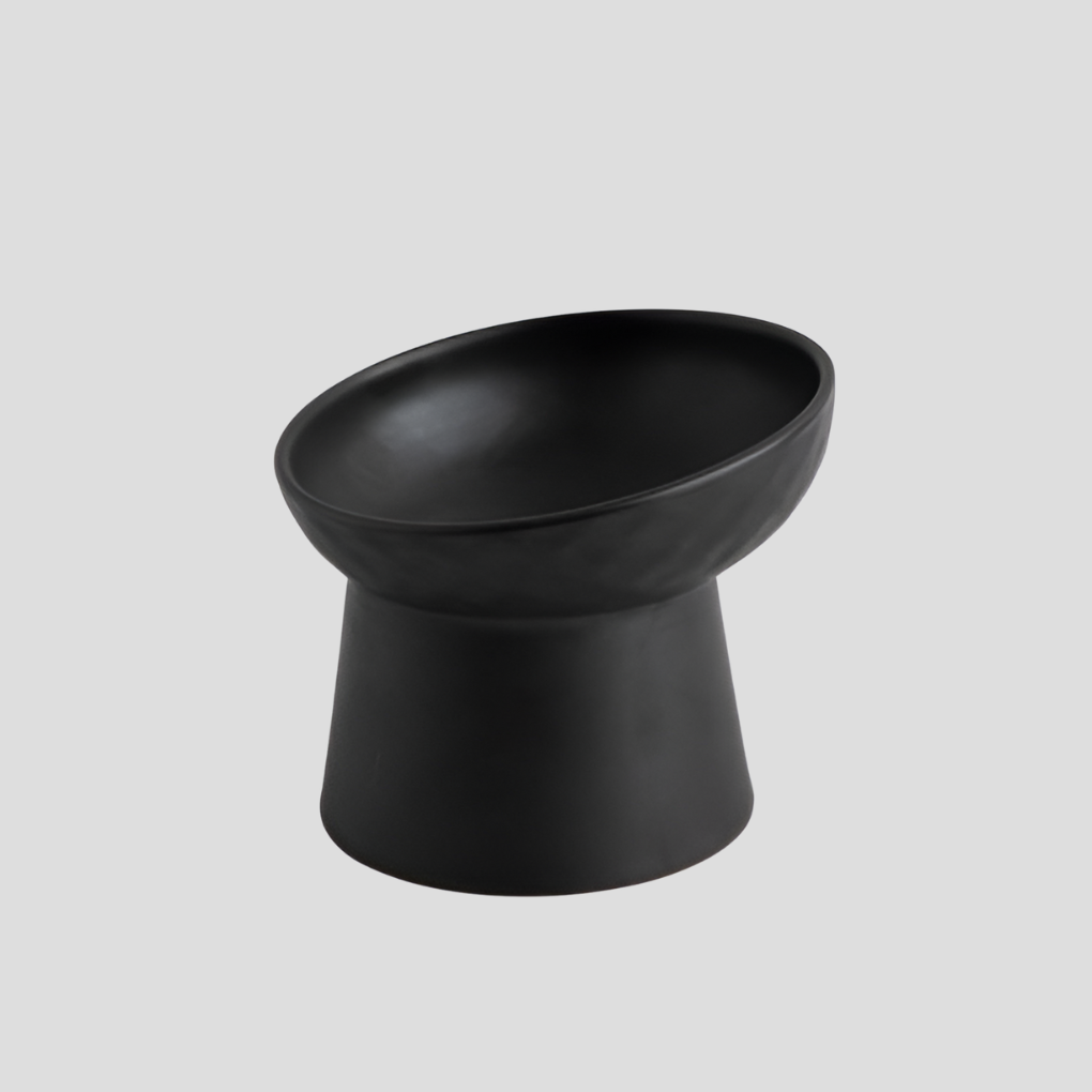 Ergonomic ceramic cat bowl with a gentle tilt, perfect for whisker relief and easy feeding