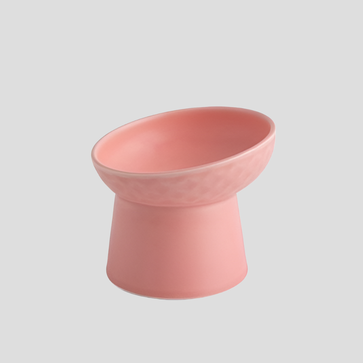 Angled shot of a ceramic tilted cat bowl, showcasing its unique design for digestion aid
