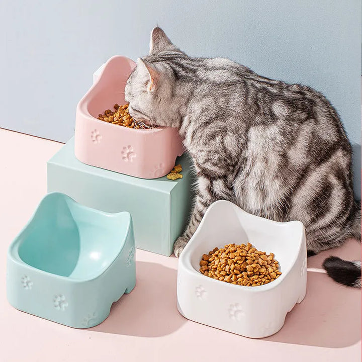 White ergonomic raised pet bowl for cats, designed for comfortable feeding and better posture