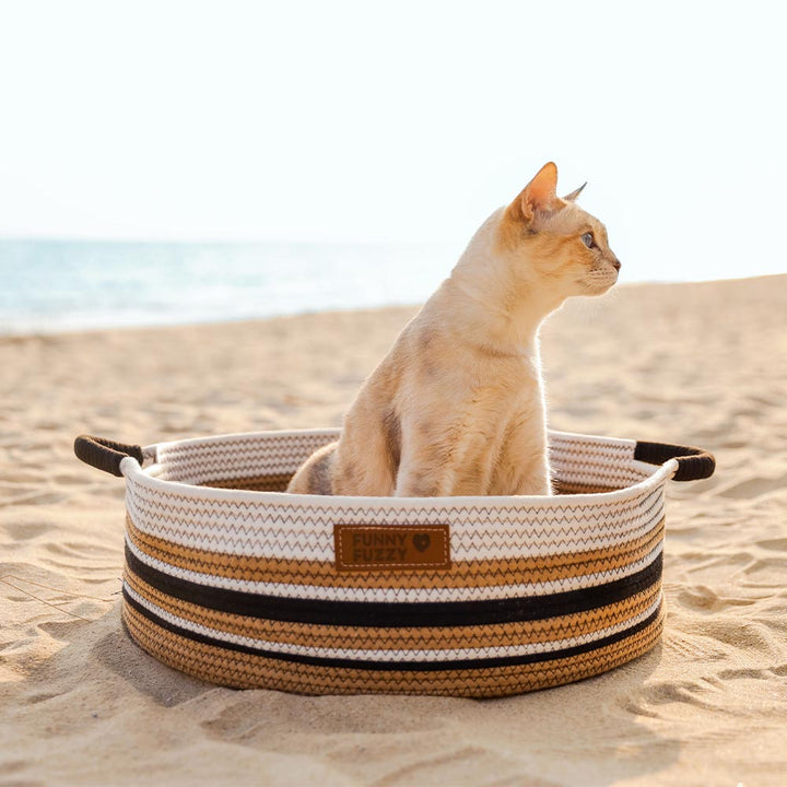 Small dog peeking out from a lightweight cotton woven pet carrier beach bag, enjoying the view.