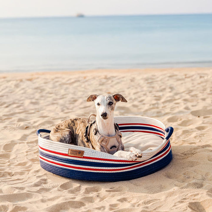 Lightweight cotton woven pet carrier beach bag providing a cozy napping spot for a small pet.