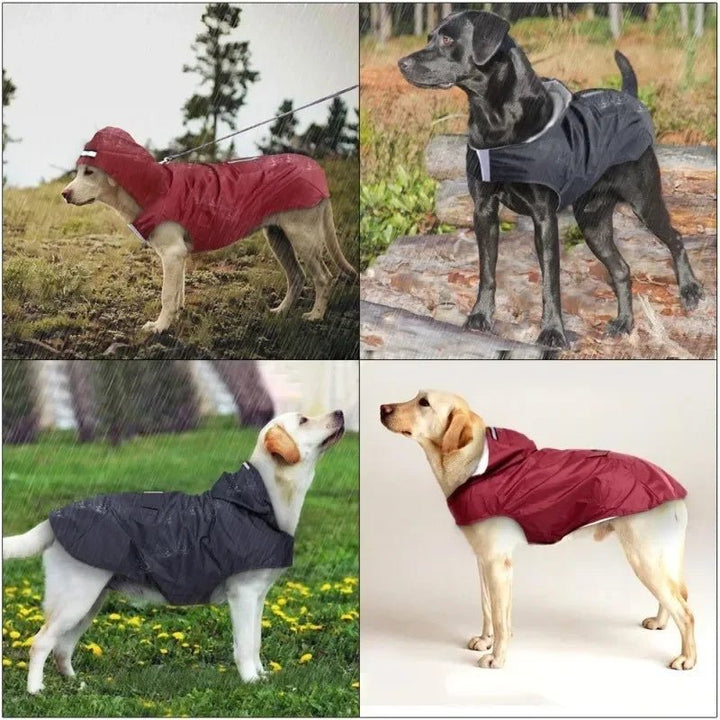 Waterproof dog jacket in bright yellow featuring reflective strips and a convenient leash opening