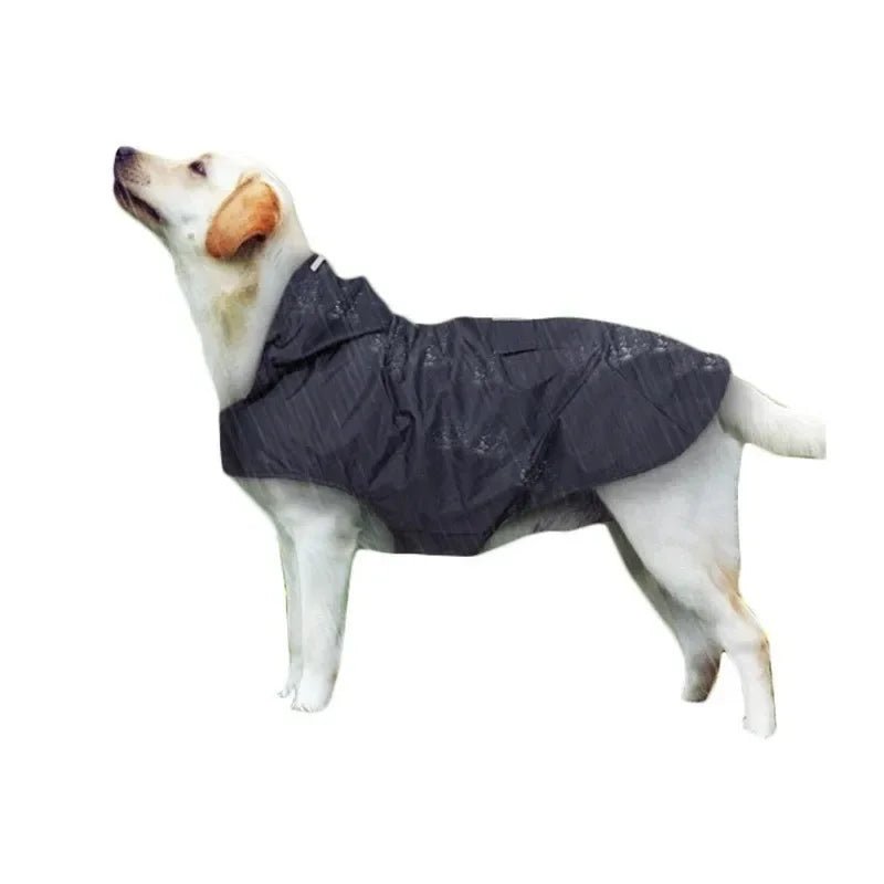 Pet outerwear: a durable yellow dog raincoat with reflective accents for visibility and leash access