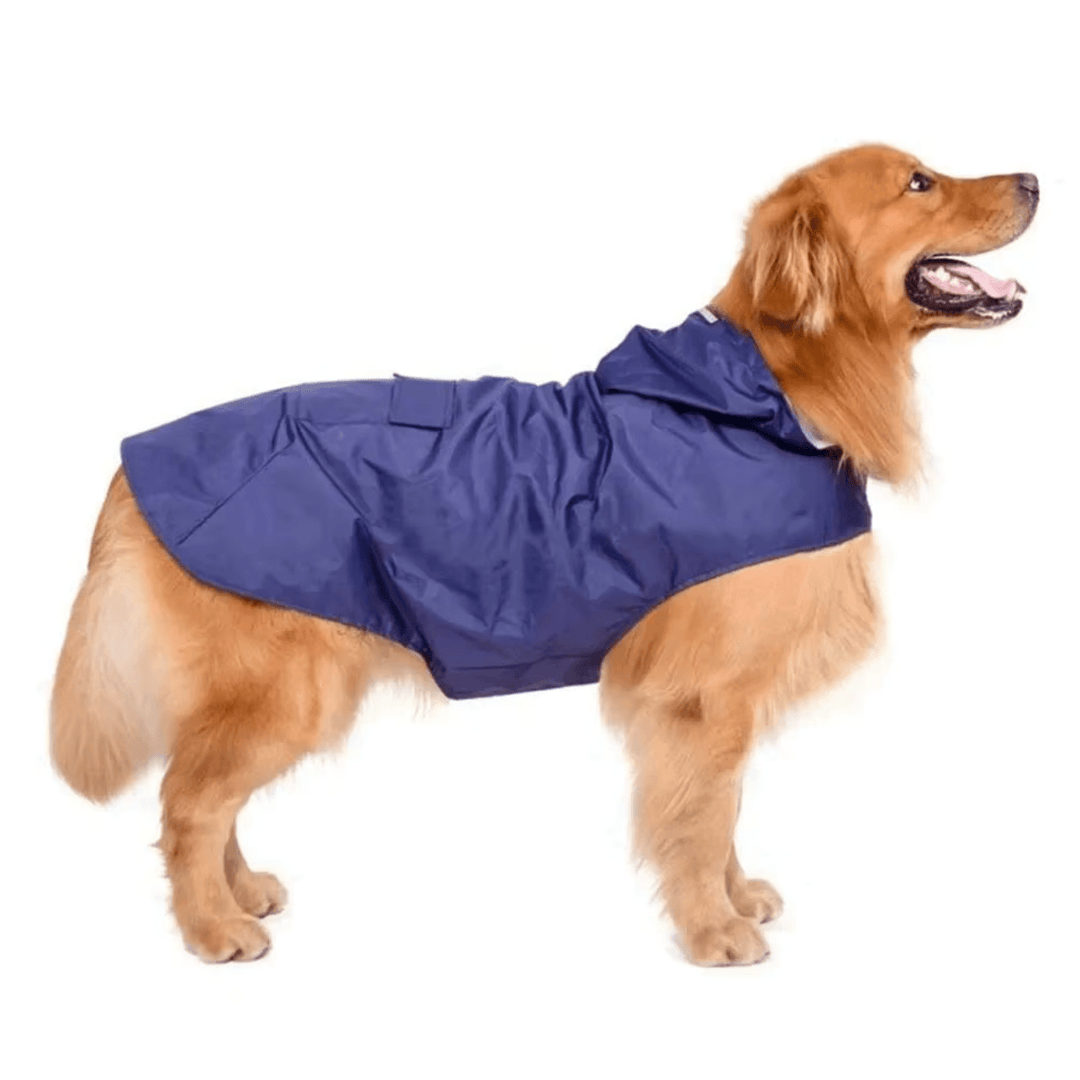 All-weather dog coat: vibrant yellow raincoat with reflective safety stripes and integrated leash slot