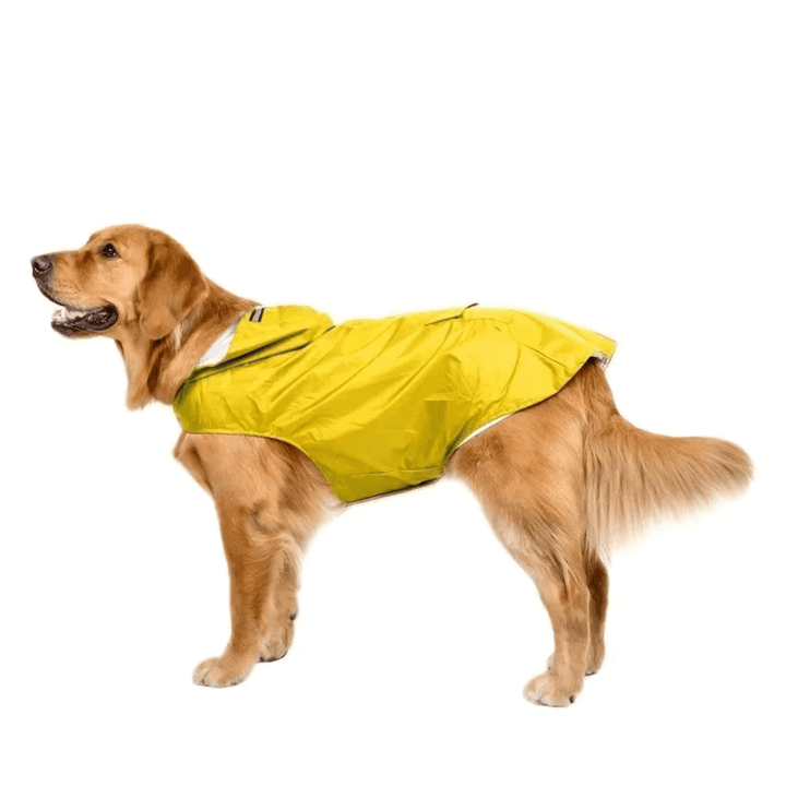 Dog apparel: reflective yellow rain gear for dogs, protecting pets in wet weather with leash hole